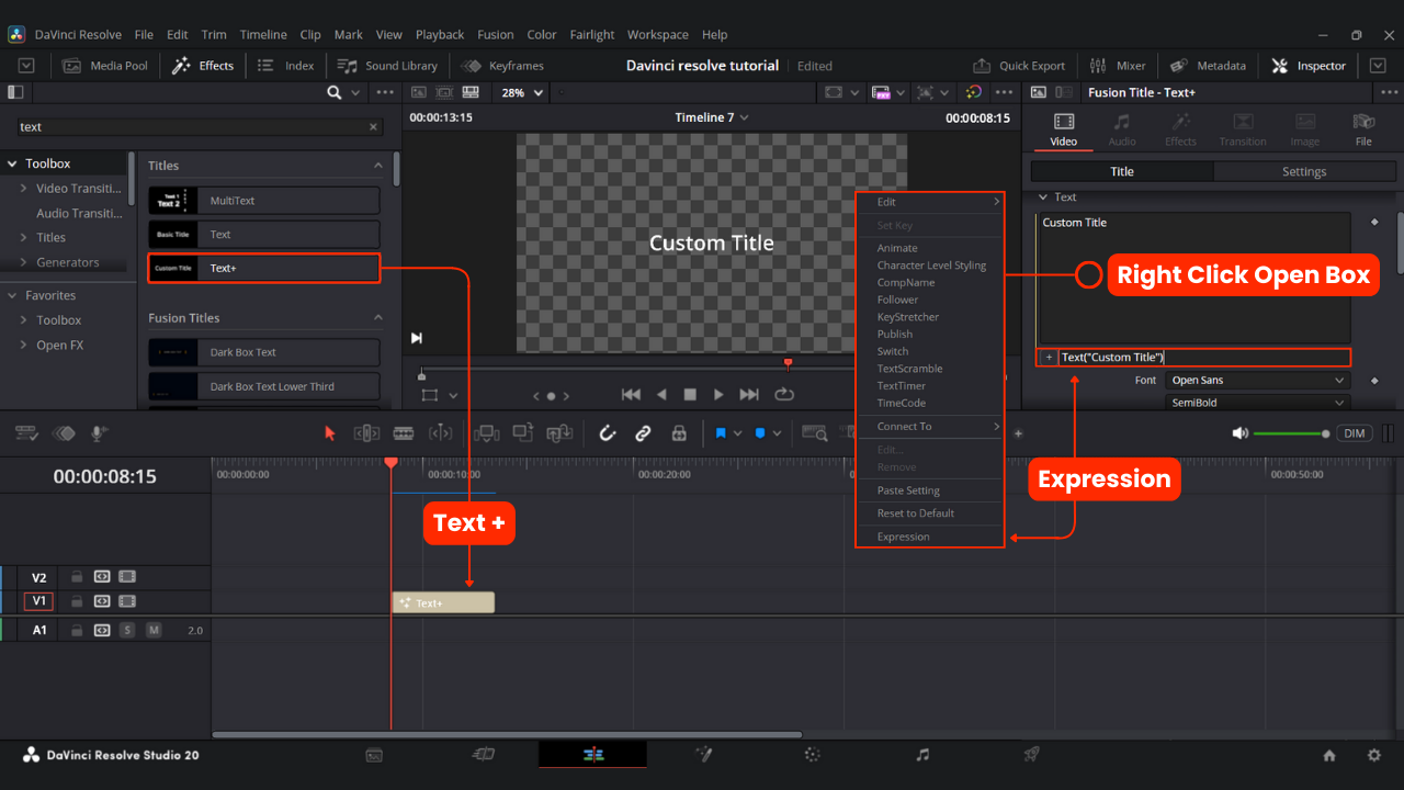 Add An Expression Box To Add A Code For Number Counting Effect In DaVinci Resolve